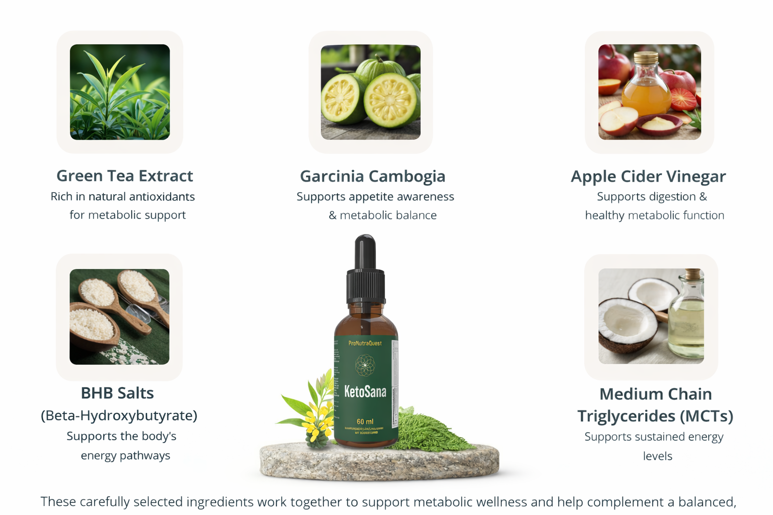 KetoSana Ingredients